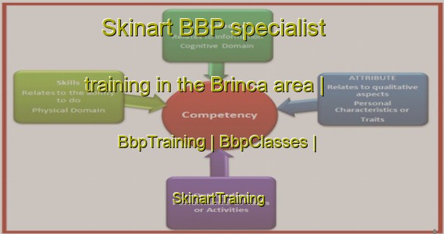 Skinart BBP specialist training in the Brinca area | BbpTraining | BbpClasses | SkinartTraining-Mozambique